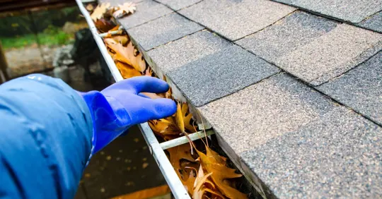 Cleaning Gutters